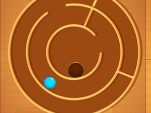 Spiny Maze Puzzle